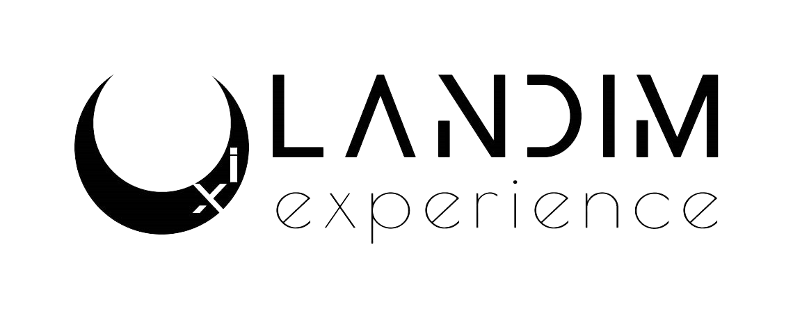 UI/UX landim experience